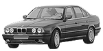 BMW E34 P0456 Fault Code